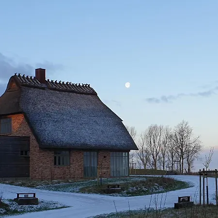 Holiday home Reetdorf Geltinger Birk Kuenstlerkate Noor *